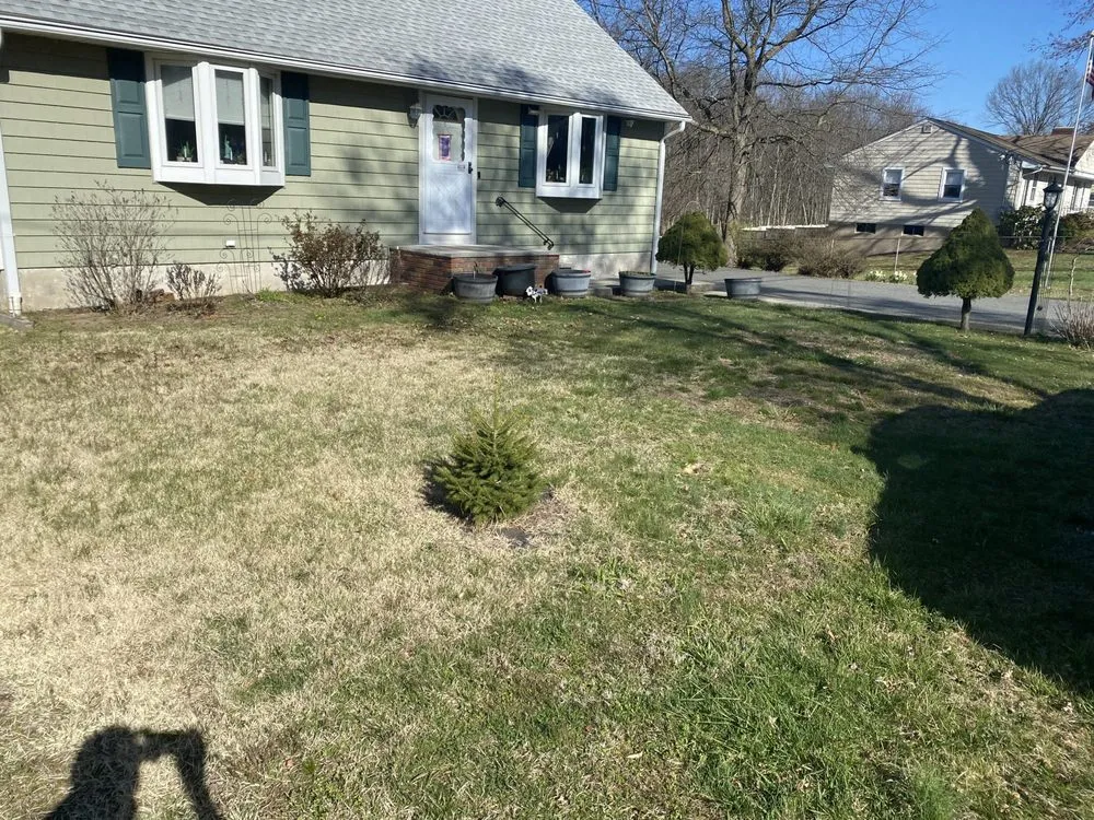 Affordable yard maintenance in Little Falls, NJ - Big Green Lawn Service