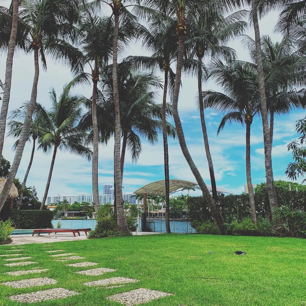 Expert yard cleanup service for beautiful yards in Miami, FL by Big Green Men Landscaping & Artificial Grass