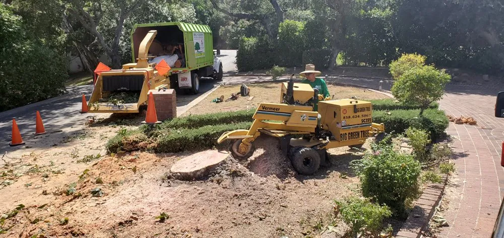 Reliable landscape design in Sylmar, CA by Big Green Tree Service & Landscape