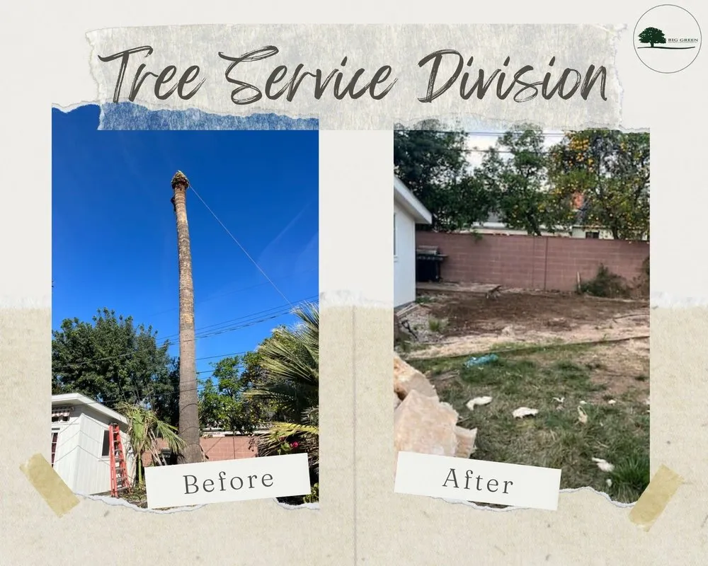 Custom yard maintenance experts serving Sylmar, CA - Big Green Tree Service & Landscape