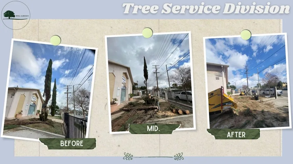 Custom lawn mowing service with custom design across Sylmar, CA - Big Green Tree Service & Landscape