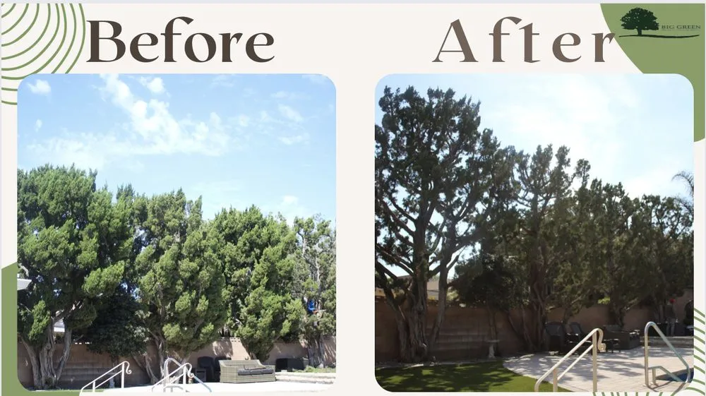 Local lawn care service experts serving Sylmar, CA - Big Green Tree Service & Landscape