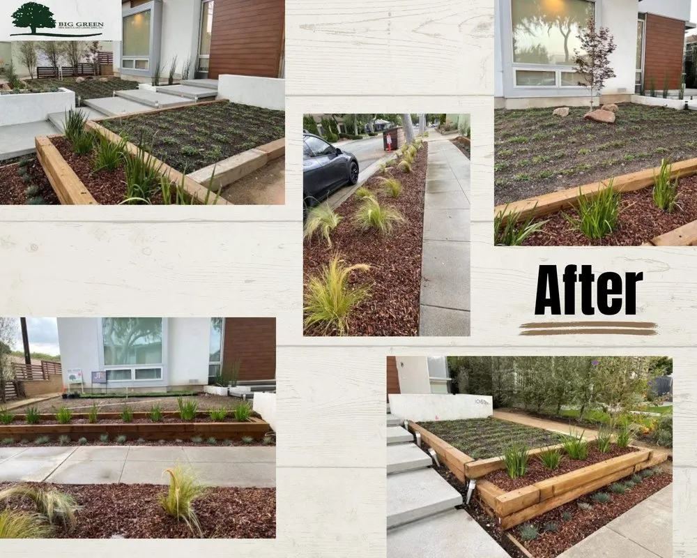 Top-rated yard maintenance experts serving Sylmar, CA - Big Green Tree Service & Landscape