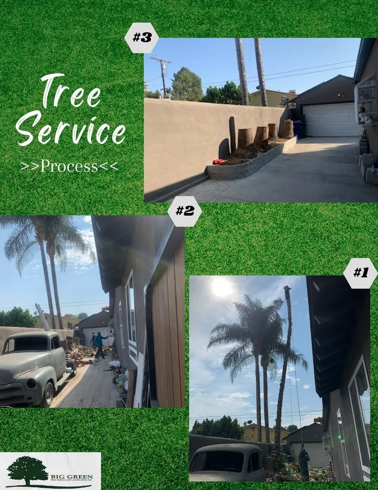 Custom lawn mowing service in Sylmar, CA by Big Green Tree Service & Landscape
