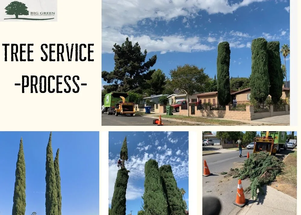 Custom lawn care service experts serving Sylmar, CA - Big Green Tree Service & Landscape