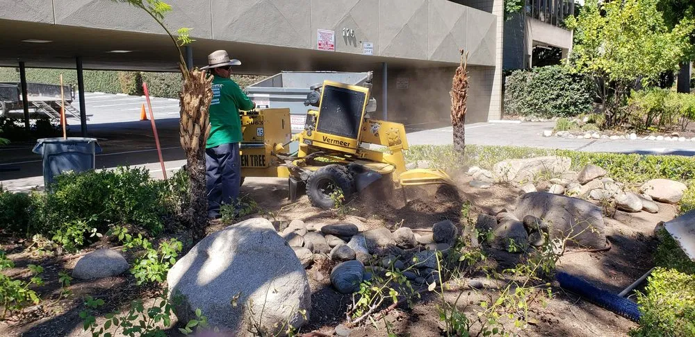 Top-rated yard maintenance experts serving Sylmar, CA - Big Green Tree Service & Landscape