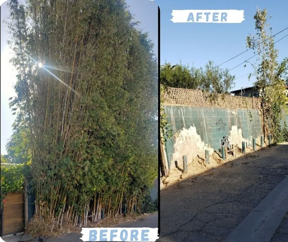 Top-rated lawn care service with custom design in Sylmar, CA by Big Green Tree Service & Landscape