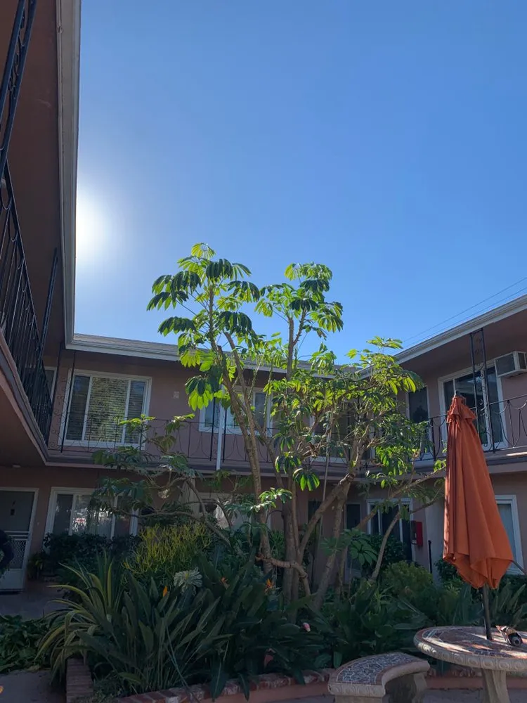 Expert garden landscaping in Sylmar, CA by Big Green Tree Service & Landscape