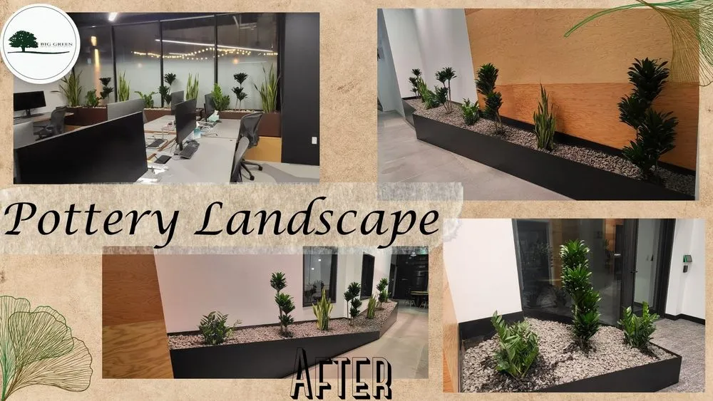 Reliable yard maintenance in Sylmar, CA - Big Green Tree Service & Landscape