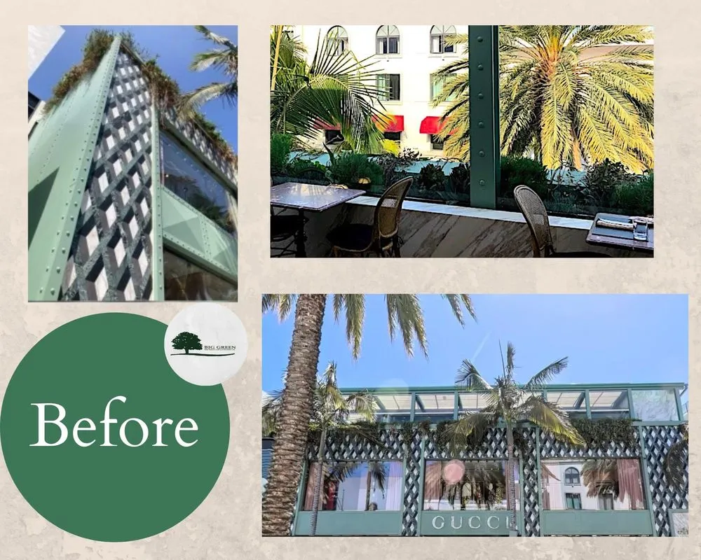 Local residential landscaping near you in Sylmar, CA by Big Green Tree Service & Landscape