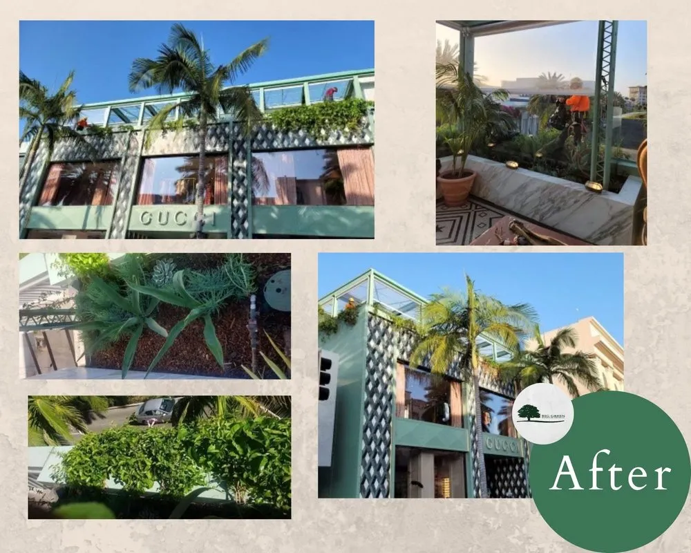 Trusted yard maintenance for homes across Sylmar, CA - Big Green Tree Service & Landscape