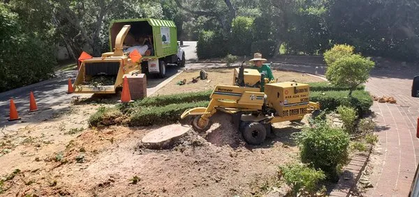 Big Green Tree Service & Landscape Logo