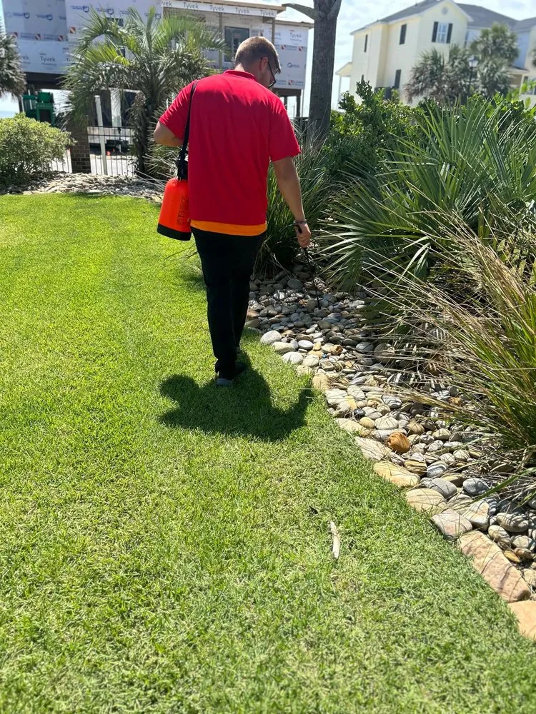 Professional landscape design with custom design across Conway, SC - Big Green Turf Services