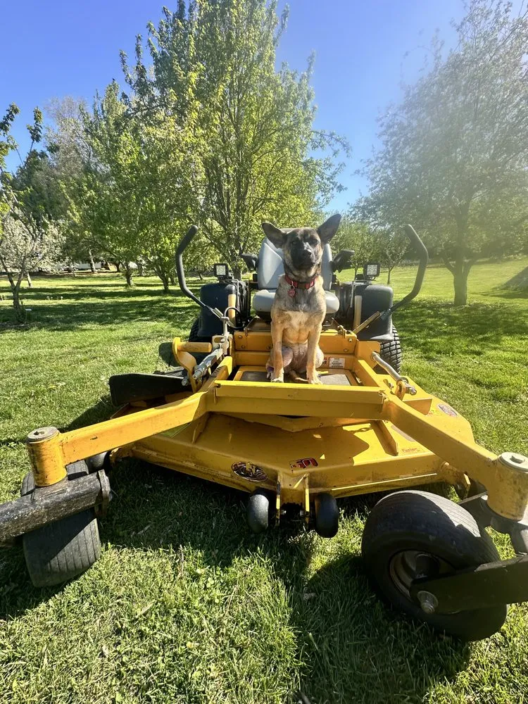 Custom outdoor landscaping for homes across Chillicothe, IL - Big Greene Mowing