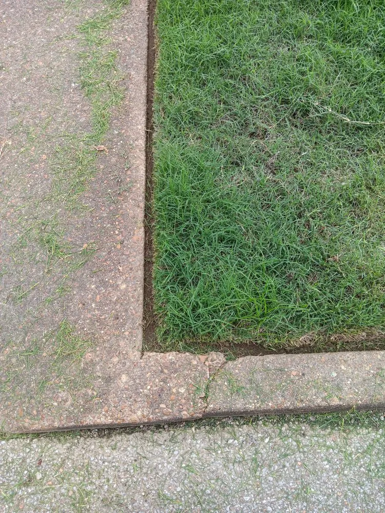 Affordable outdoor landscaping for residential properties in Memphis, TN by Big Guy's Lawn Garden & Landscaping Services