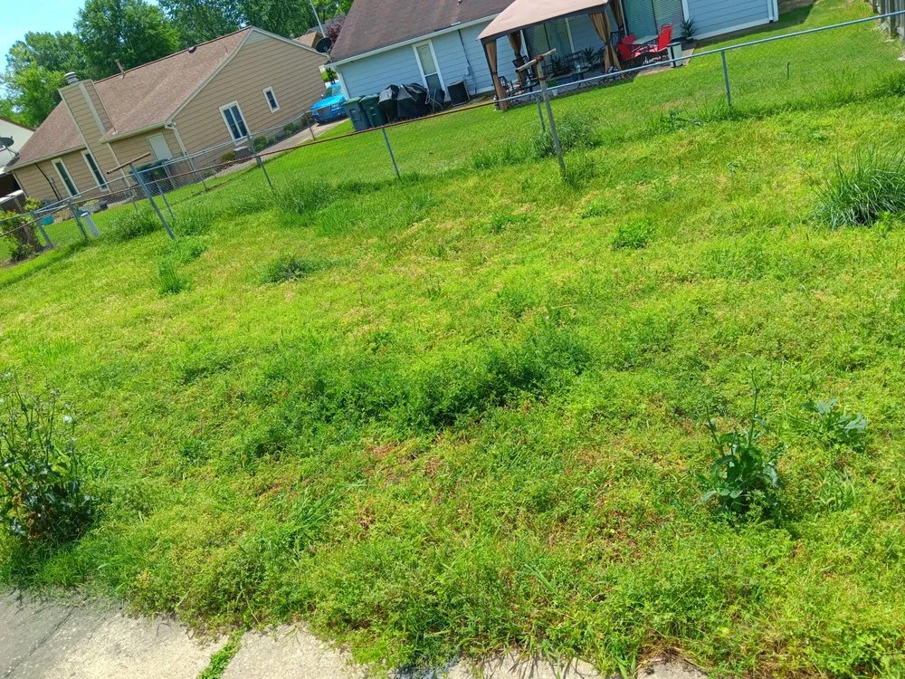 Local lawn care service experts serving Memphis, TN - Big Guy's Lawn Garden & Landscaping Services