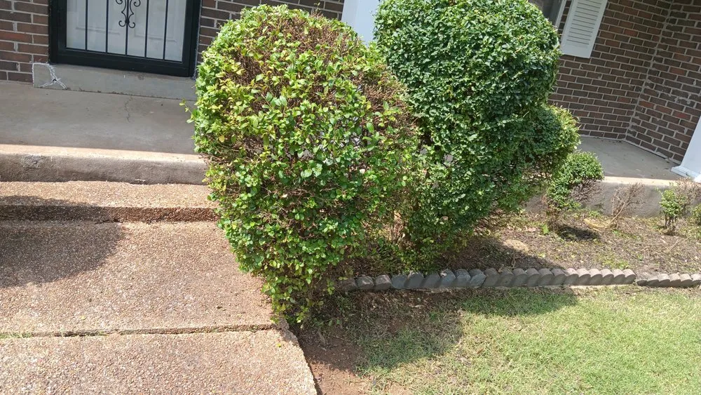 Trusted landscaping services in Memphis, TN by Big Guy's Lawn Garden & Landscaping Services