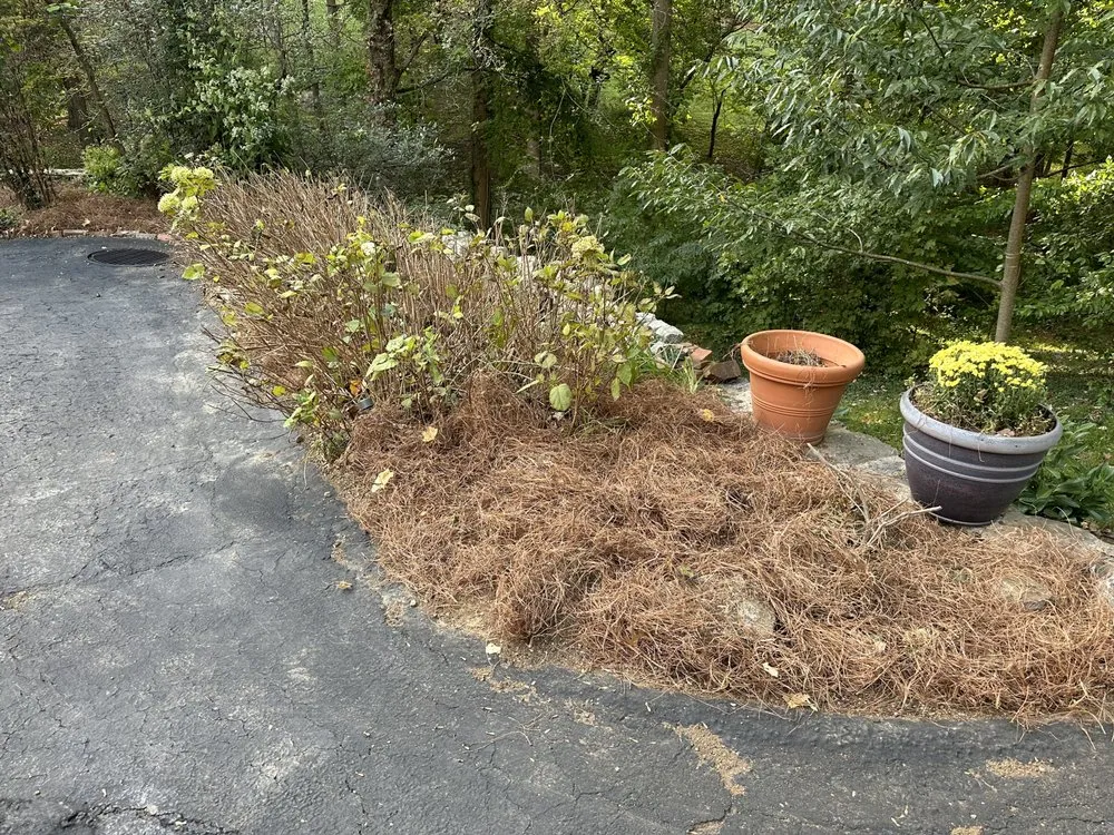 Professional lawn care service experts serving Louisville, KY - Big Guys Professional Services