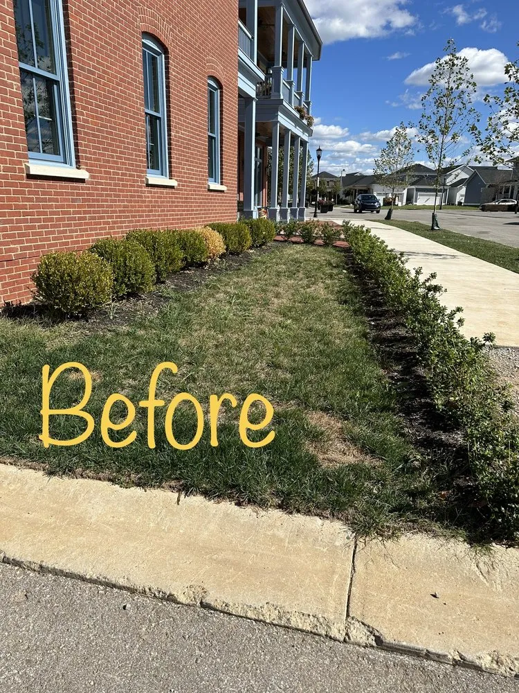 Expert residential landscaping in Louisville, KY by Big Guys Professional Services