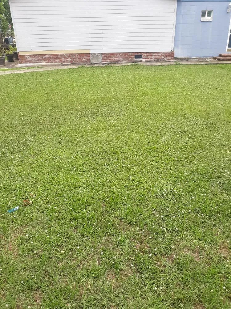 Local yard cleanup service near you across Belzoni, MS - Big Guyz Lawncare Services