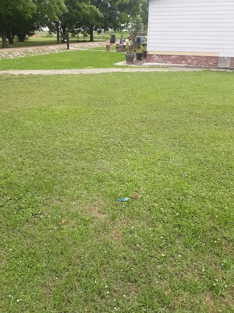 Professional residential landscaping in Belzoni, MS - Big Guyz Lawncare Services