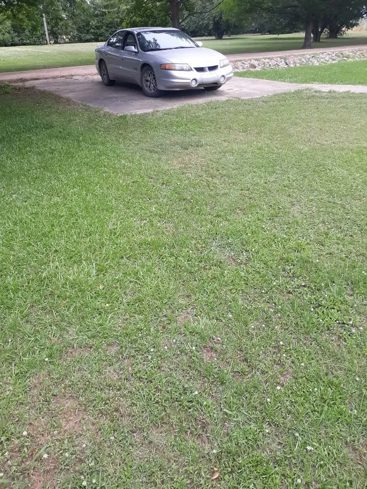 Expert lawn mowing service in Belzoni, MS - Big Guyz Lawncare Services