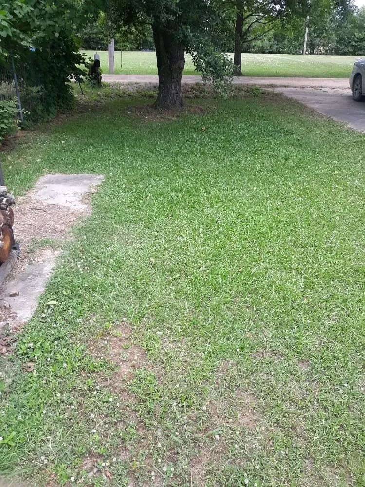 Reliable garden landscaping for outdoor upgrades in Belzoni, MS by Big Guyz Lawncare Services