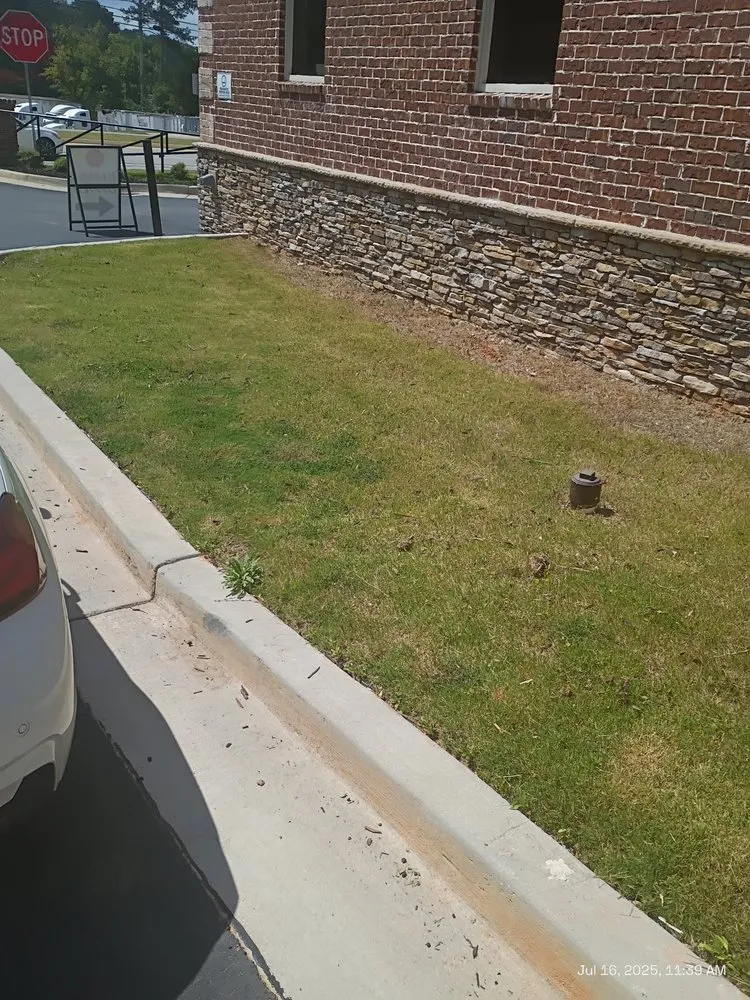 Reliable yard cleanup service for residential properties in Loganville, GA by Big Ham Mobile Handyman Services