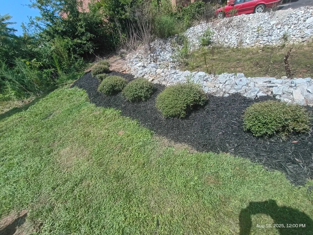 Local landscaping services in Loganville, GA by Big Ham Mobile Handyman Services