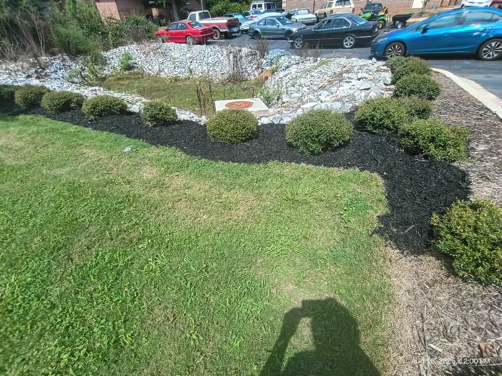 Reliable lawn care service experts serving Loganville, GA - Big Ham Mobile Handyman Services