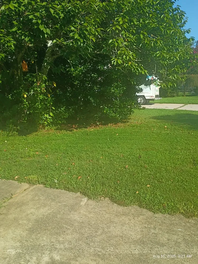 Custom garden landscaping in Loganville, GA by Big Ham Mobile Handyman Services