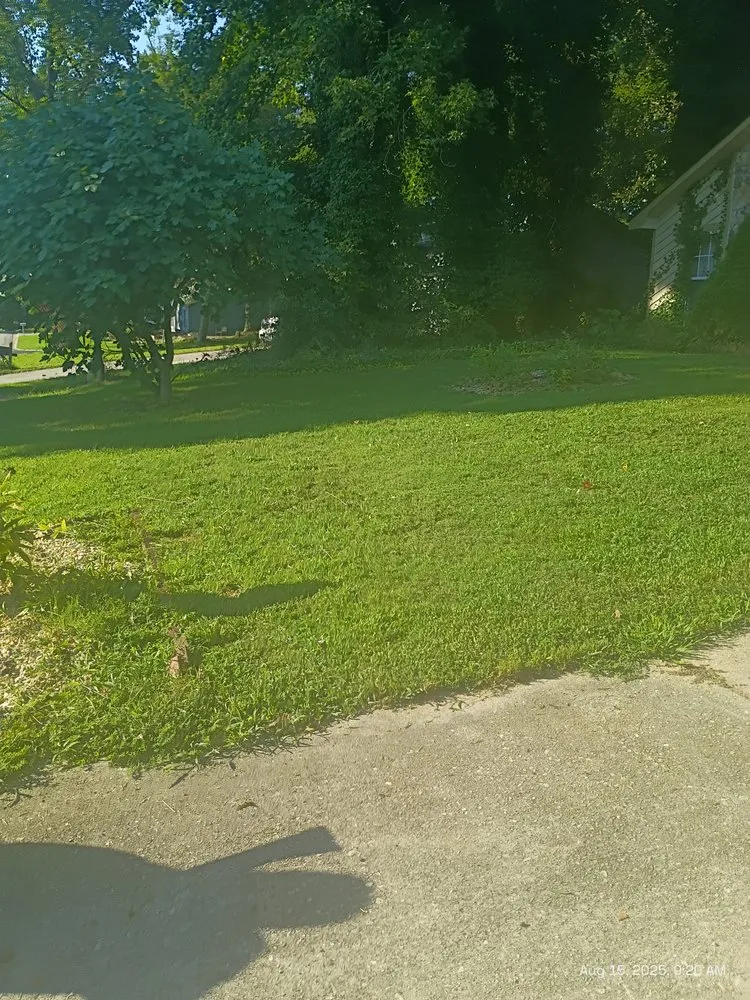 Top-rated landscape installation in Loganville, GA by Big Ham Mobile Handyman Services