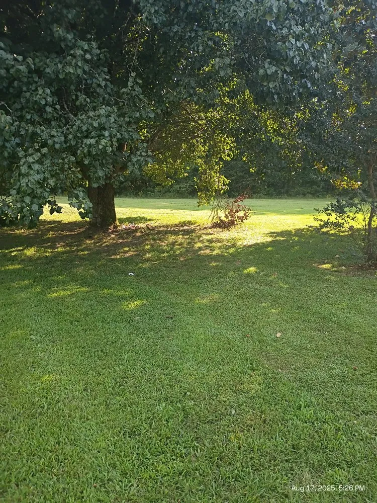 Affordable yard cleanup service near you across Loganville, GA - Big Ham Mobile Handyman Services