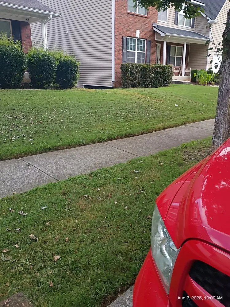 Affordable yard cleanup service for homes in Loganville, GA by Big Ham Mobile Handyman Services