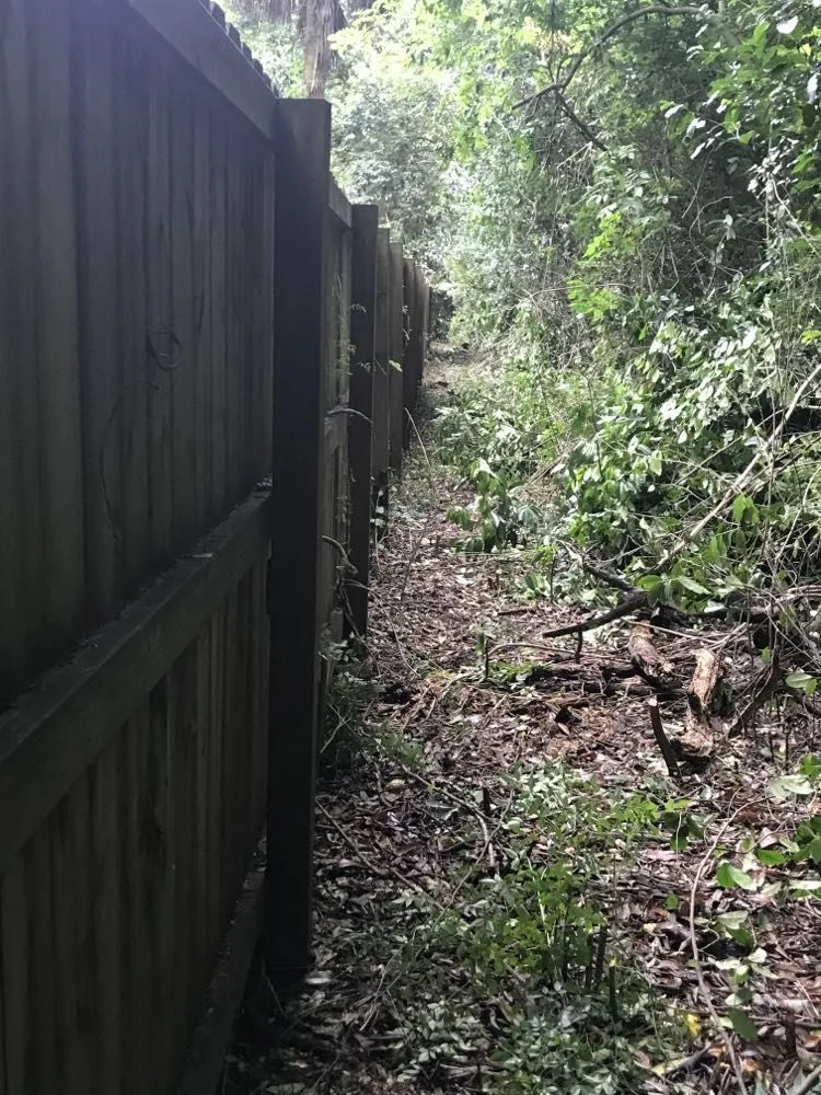 Top-rated yard cleanup service in Dothan, AL - Big Hands Landscaping