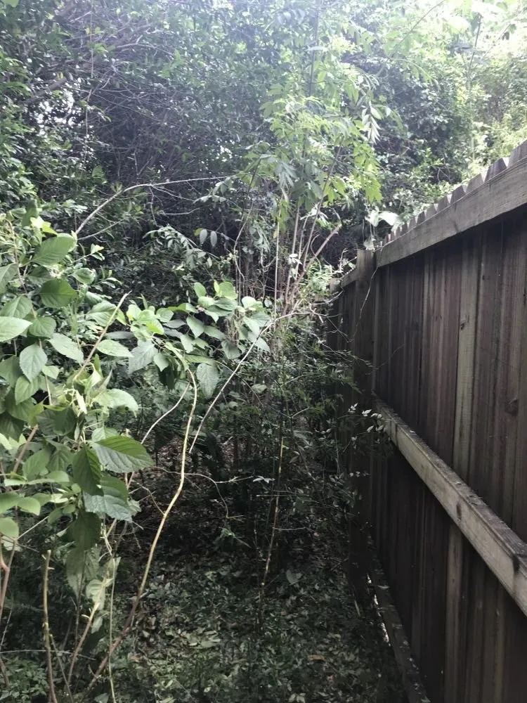 Top-rated yard maintenance in Dothan, AL by Big Hands Landscaping