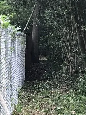 Big Hands Landscaping Logo