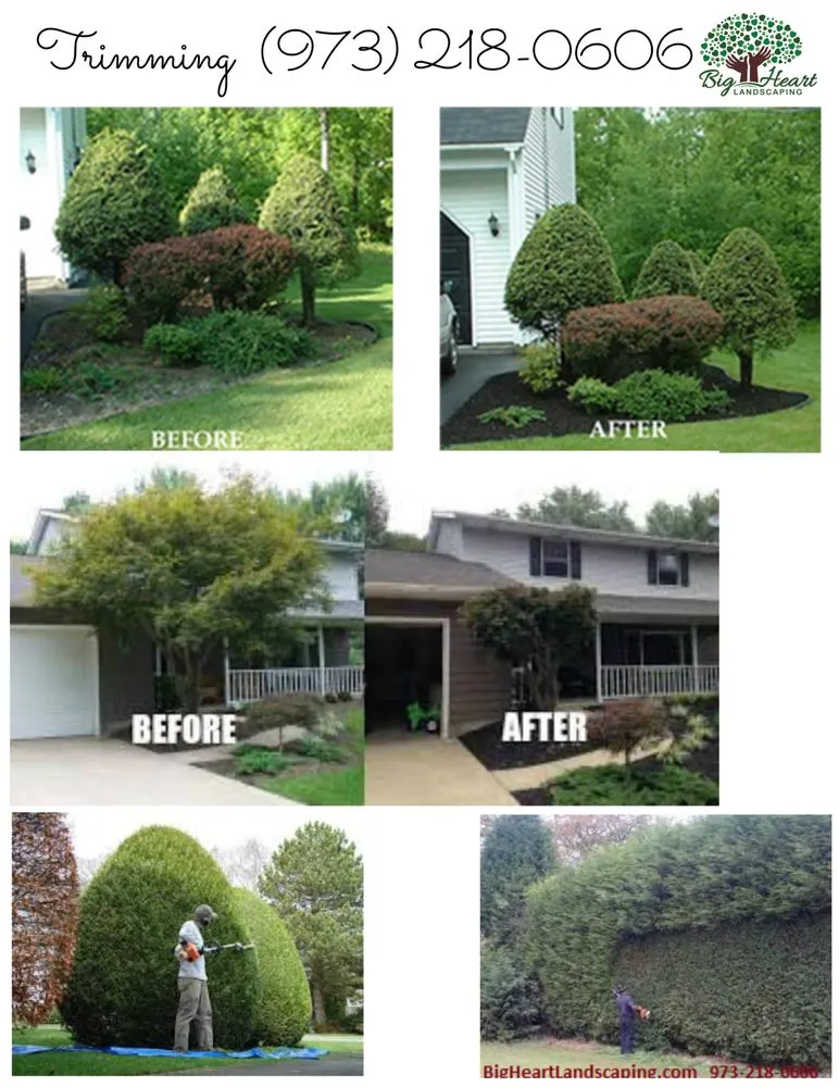 Custom yard cleanup service near you in Livingston, NJ by Big Heart Landscaping