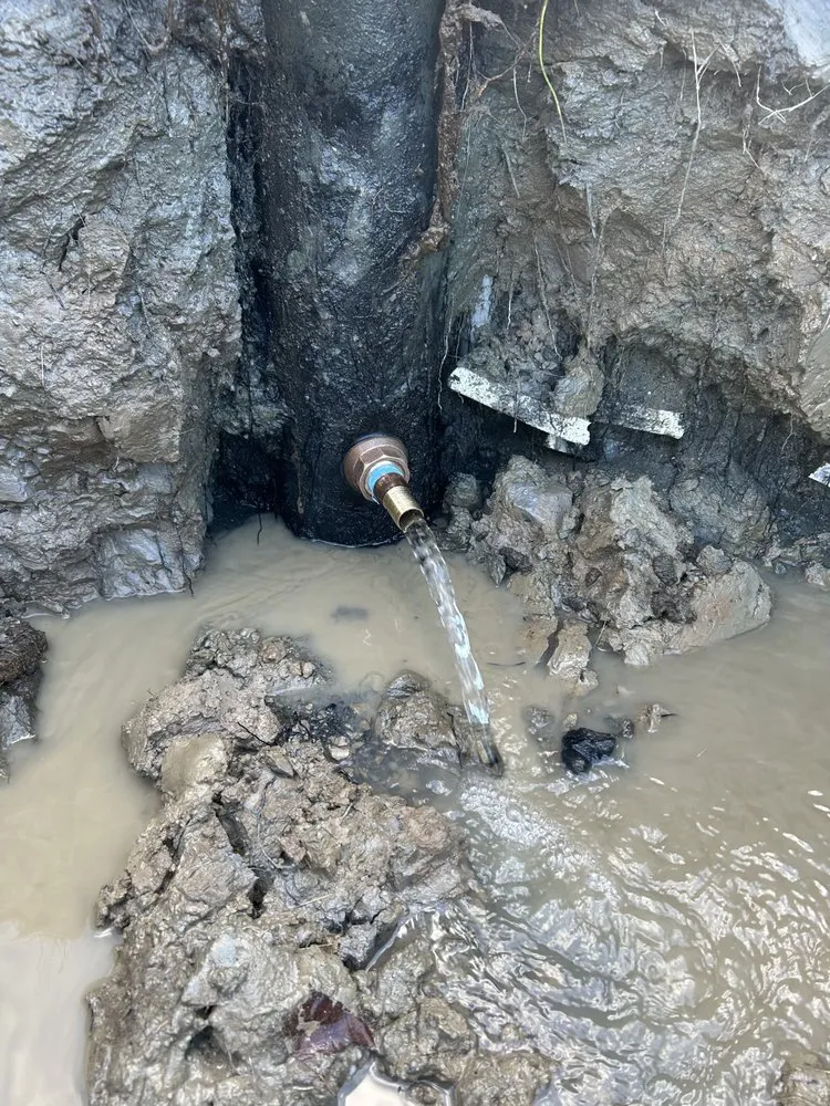 Affordable yard cleanup service experts serving Starksboro, VT - Big Hollow Lawn & Maintenance