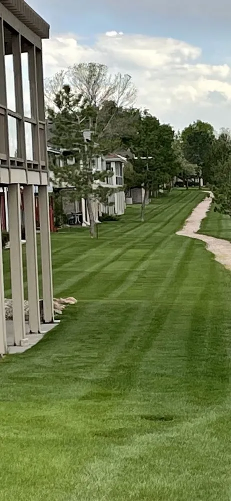 Professional lawn care service in Greeley, CO by Big Horn Outdoor Services