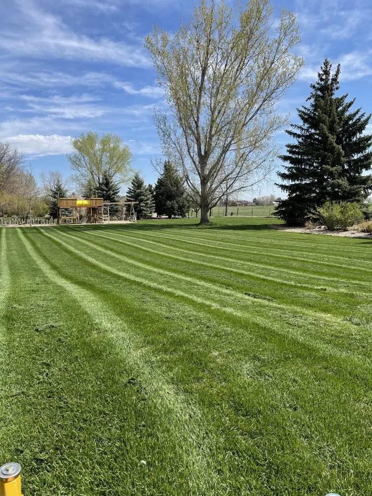 Top-rated landscaping services for residential properties across Greeley, CO - Big Horn Outdoor Services