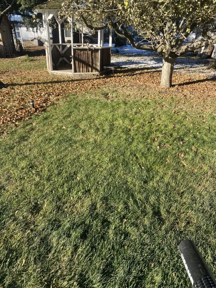 Top-rated lawn mowing service experts serving Coeur d'Alene, ID - Big Horn Property Maintenance LLC