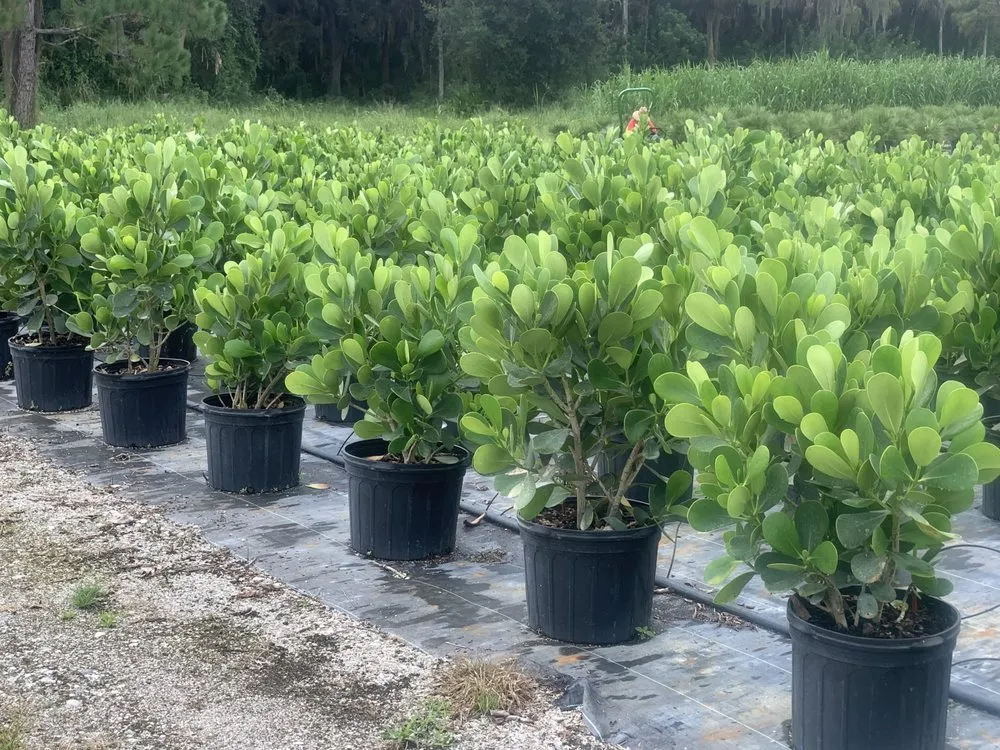 Expert residential landscaping in Miami, FL - Big Hoss Landscaping