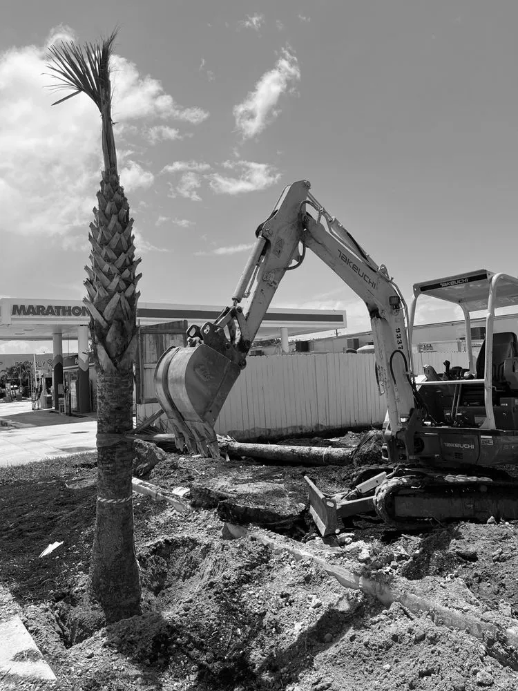 Affordable yard cleanup service experts serving Miami, FL - Big Hoss Landscaping