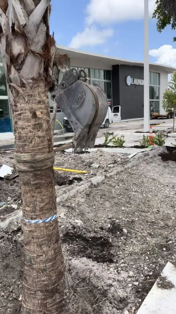 Affordable residential landscaping experts serving Miami, FL - Big Hoss Landscaping