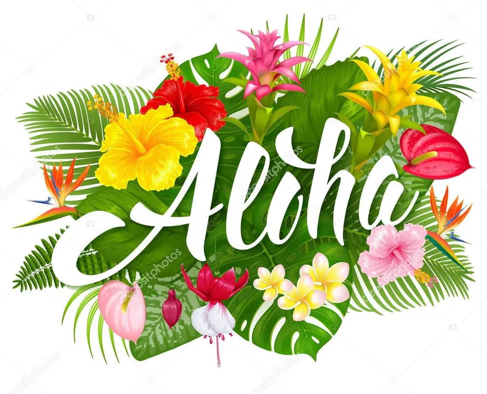 Expert outdoor landscaping in Hilo, HI - Big Island Coconut Company