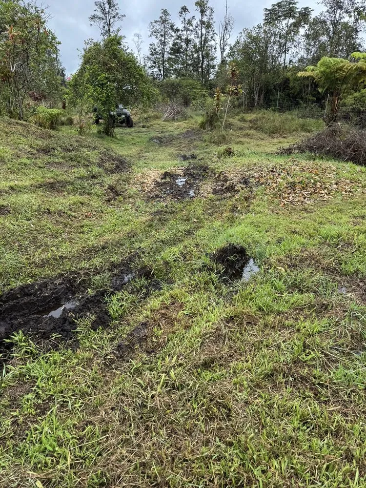 Professional yard maintenance experts serving Volcano, HI - Big Island Earthmovers