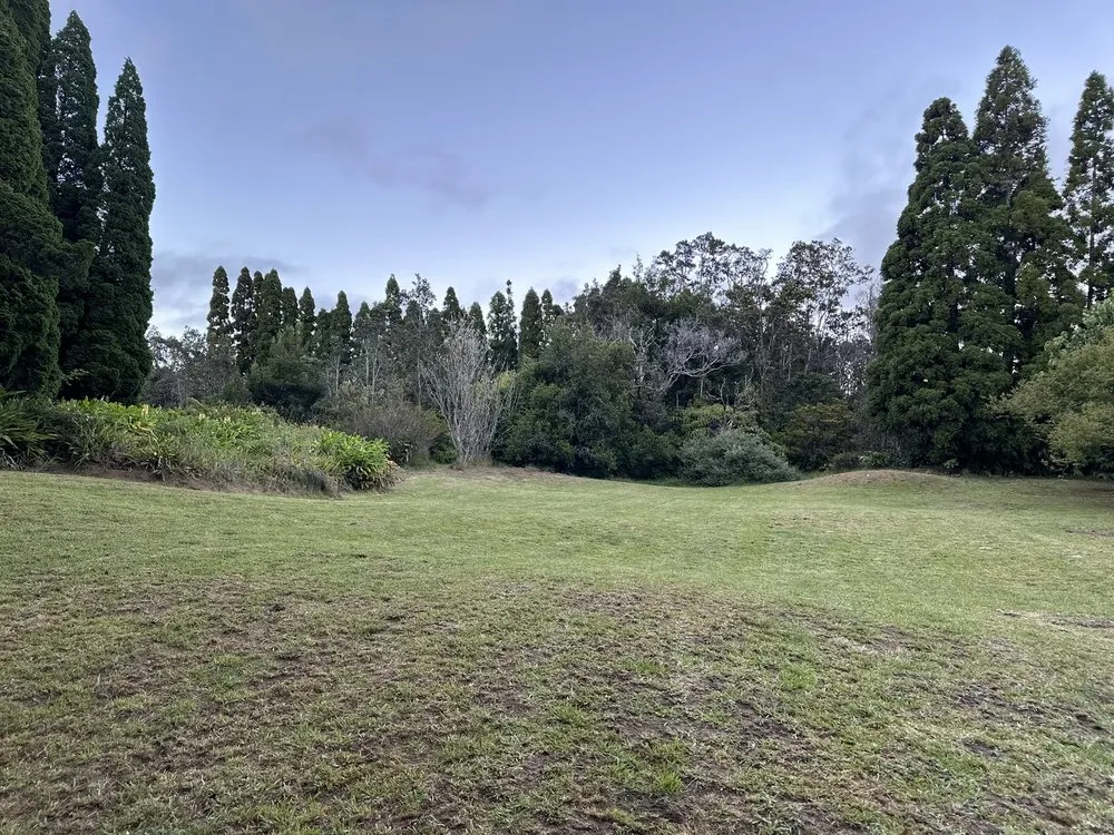 Reliable outdoor landscaping for year-round maintenance across Volcano, HI - Big Island Earthmovers