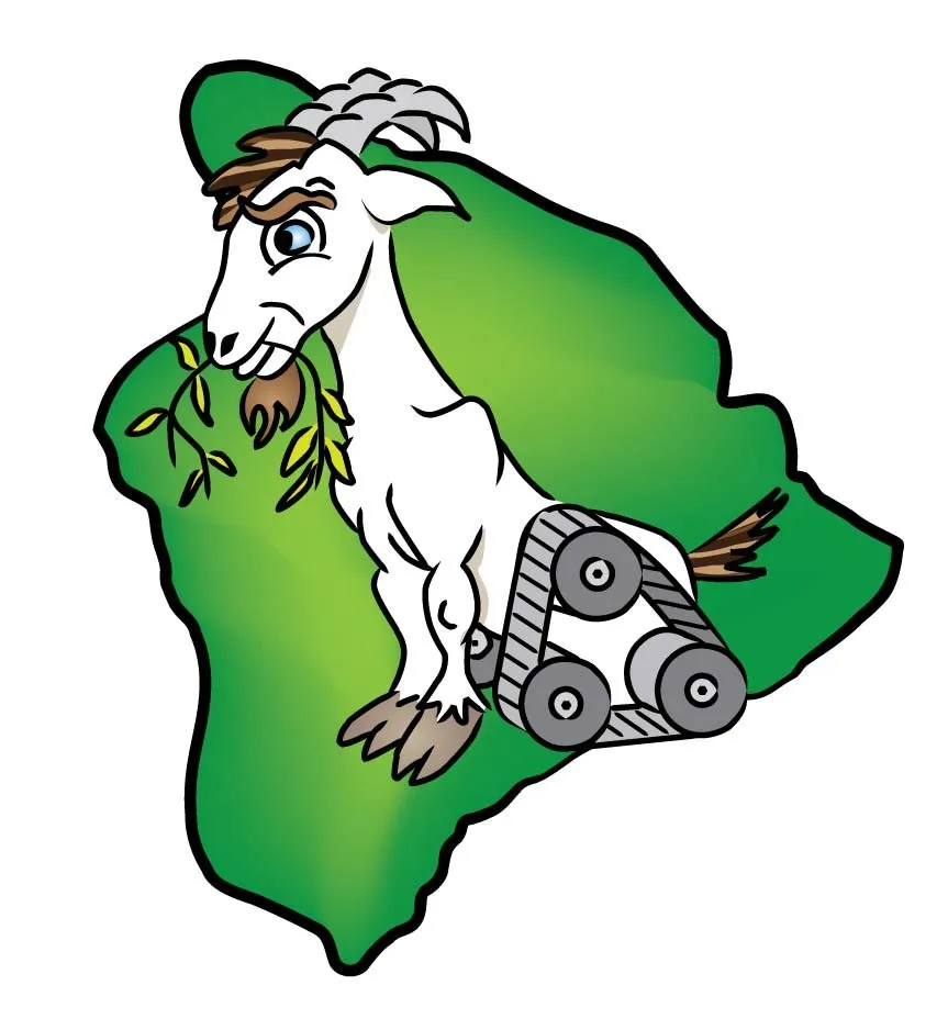 Affordable garden landscaping for outdoor upgrades in Kailua-Kona, HI by Big Island Goat Dozers