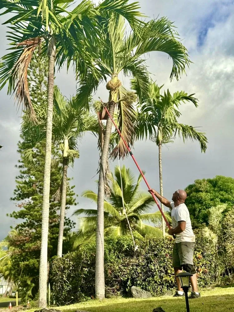 Local yard maintenance for year-round maintenance in Kailua Kona, HI by Big Island Lawn Care